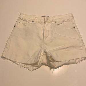 Everlane White Shorts